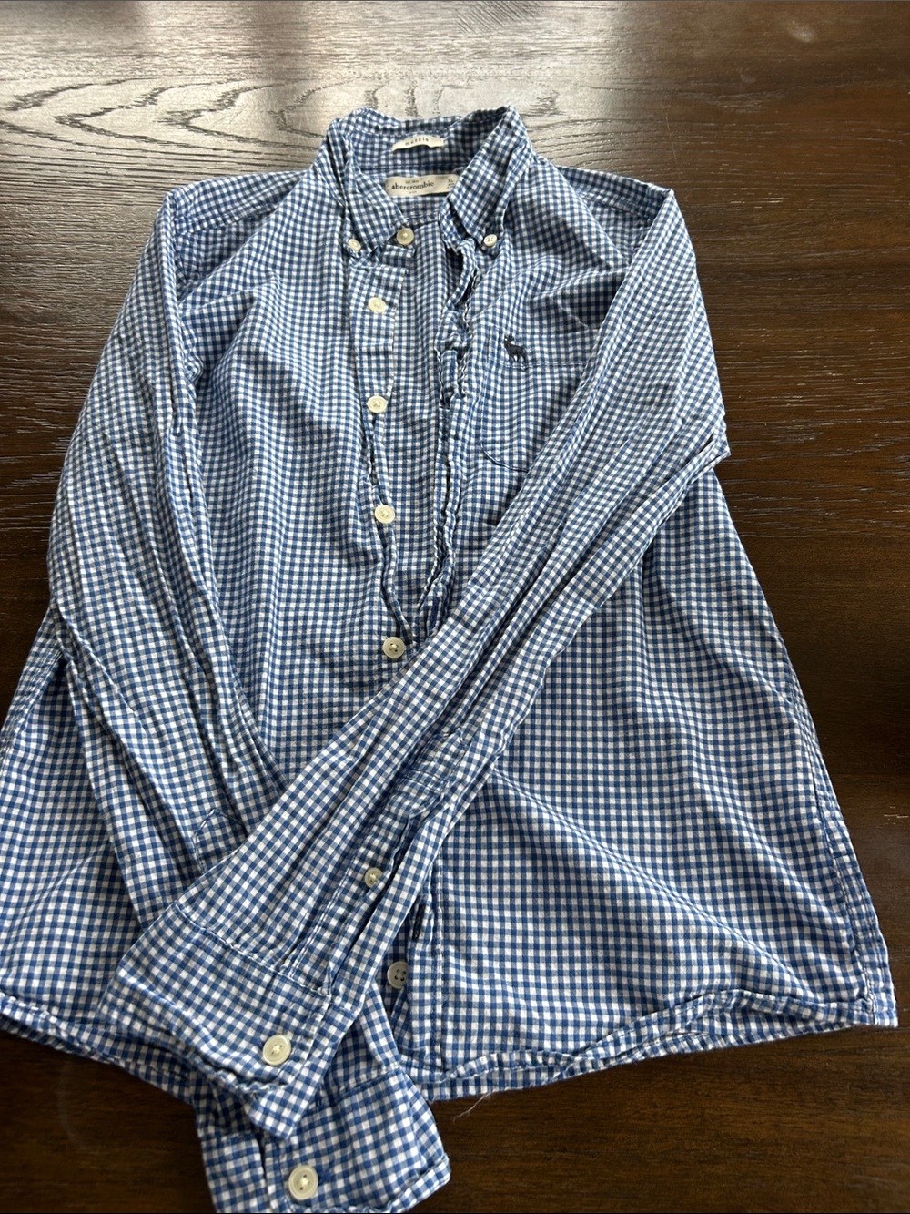 Abercrombie kids Blue Gingham Button-Down Shirt